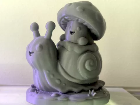 Mushroom & his Snail