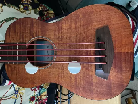 Stick-on Bass Thumbrests & Strap Button
