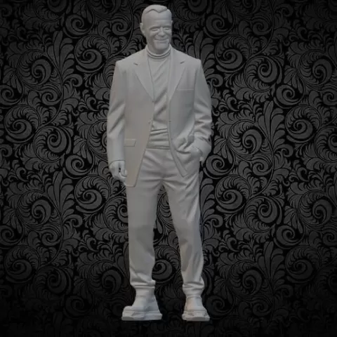 man 1