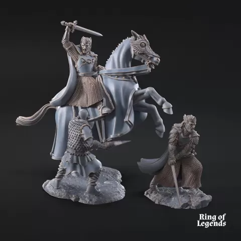 High King of Grey Castle mtd and foot | Grey Castle | Fantasy by Davale Games ©