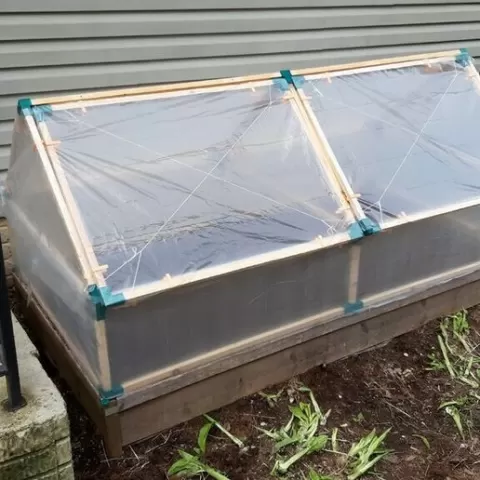 Coldframe
