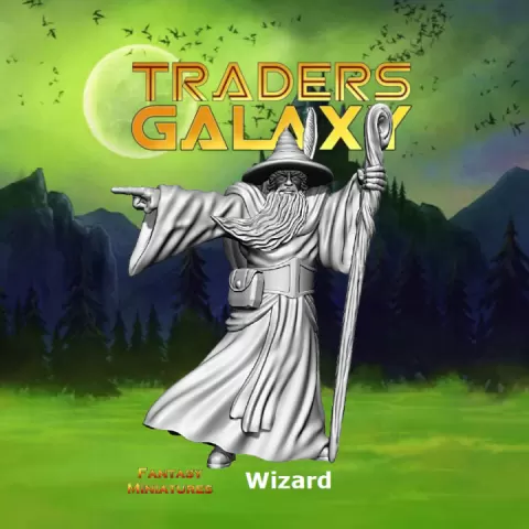 Wizard version 2 by Traders Galaxy Miniatures and Games