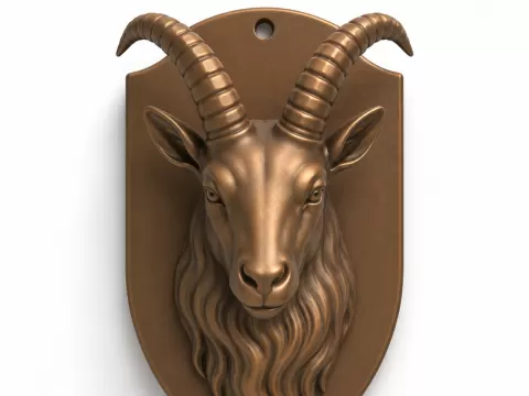 Steinbock - Brainbits3D
