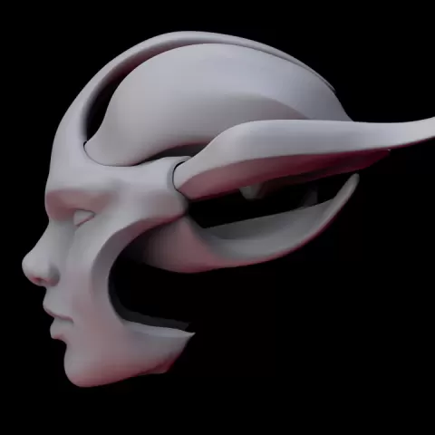 Face Shell by Luis