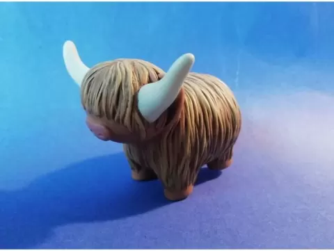 Young Little Highland Cow