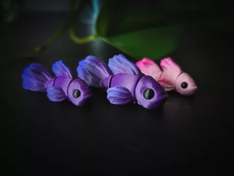 Flexi Betta Fish