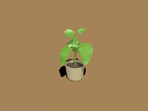 planta - neagww
