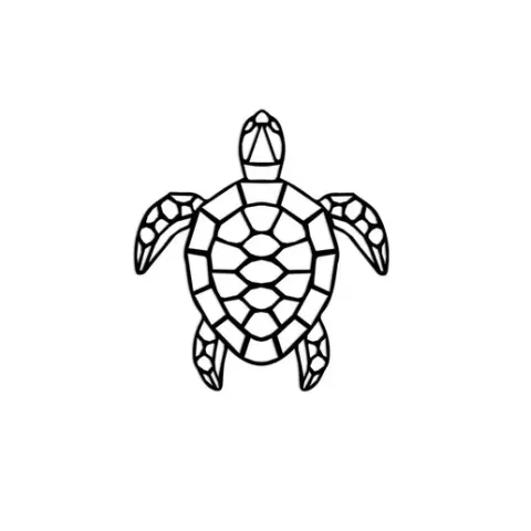 Minimalist Geometric Turtle Painting