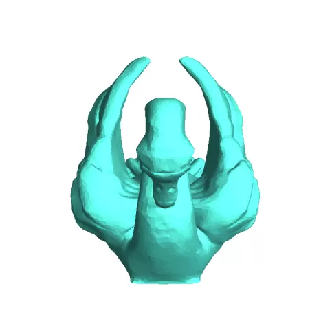 Swan