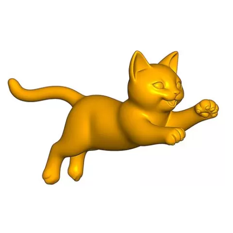 Running cat