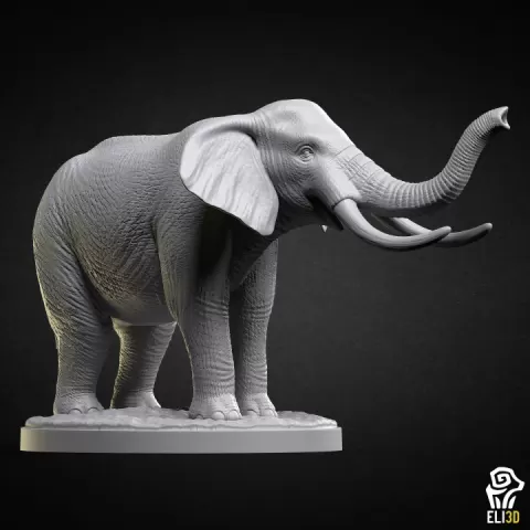 Elephant - Animal by ELI 3D