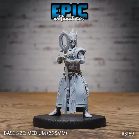 Hunters Guild Elven Red Mage Staff / Dragon Hunter / Elvish Beast Tamer / Draconic Elf Warrior / Evil Drake Army by Epic-Miniatures