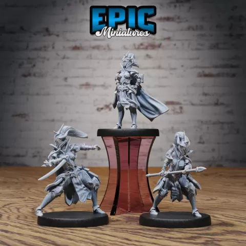 Hunters Guild Female Knight Set / Dragon Hunter / Beast Tamer / Draconic Warrior / Evil Drake Army by Epic-Miniatures