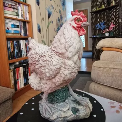Chicken