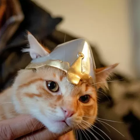 Medieval Cat - Helmet / Helmet