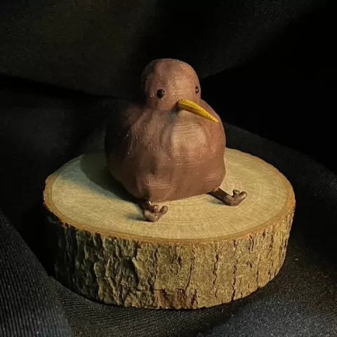 Kiwi by Ning