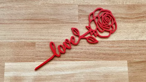 Valentine Rose of Love