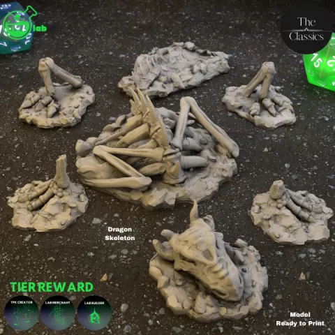 Dragon Skeleton by TPK Lab