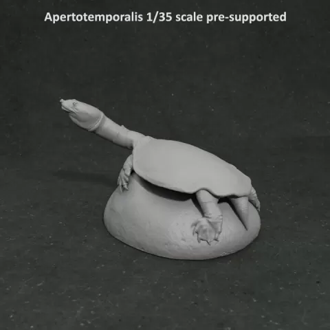 Apertotemporalis on rock 1-35 scale pre-supported prehistoric turtle by Dino and Dog