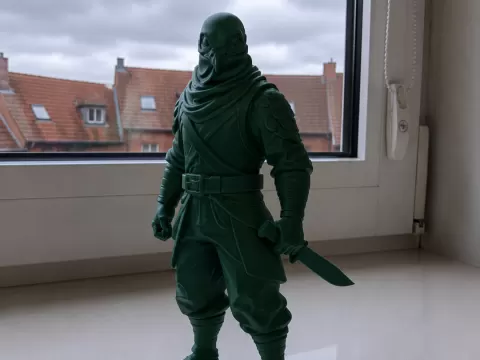 Ninja Pigeon
