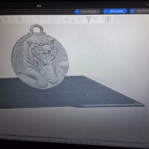 Roar - DrTimea
