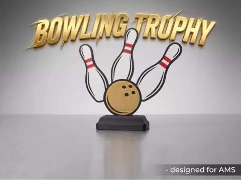 Bowling Trophy