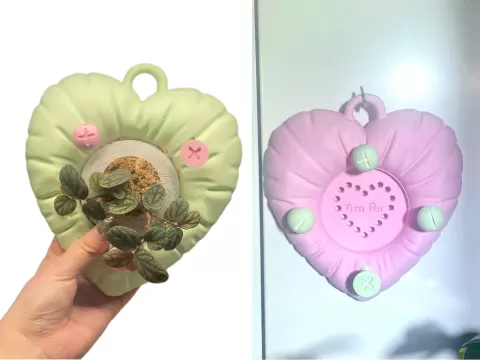 Heart Pillow Staghorn Fern/Plant Mounting Board