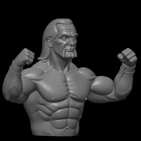 hulk hogan desgin - BiLeN MeSH SToRe