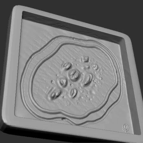 Prosthetic Mold