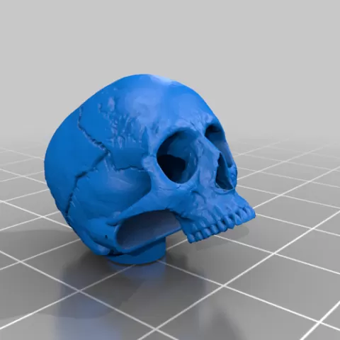 Skull Bug Catchers 1/25th scale