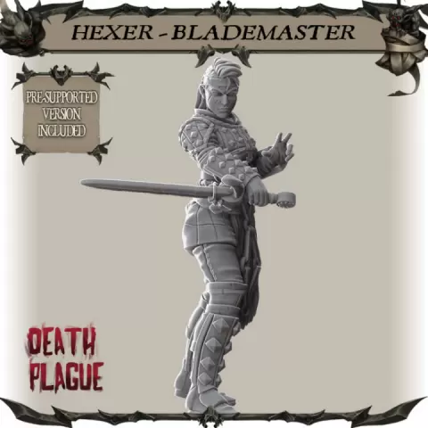 Hexer Blademaster by RocketPigGames