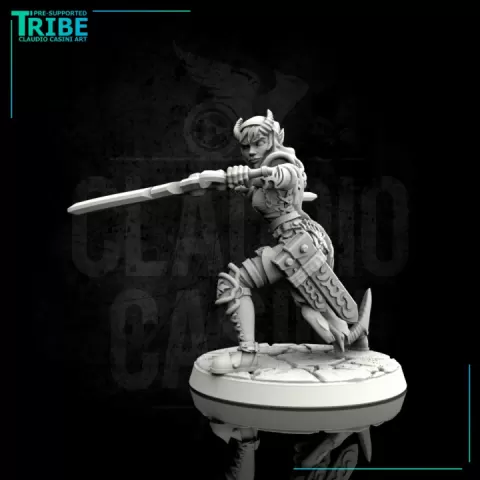 (0068) Female elf human tiefling thief rogue assassin or ranger with two weapons by Claudio Casini Art