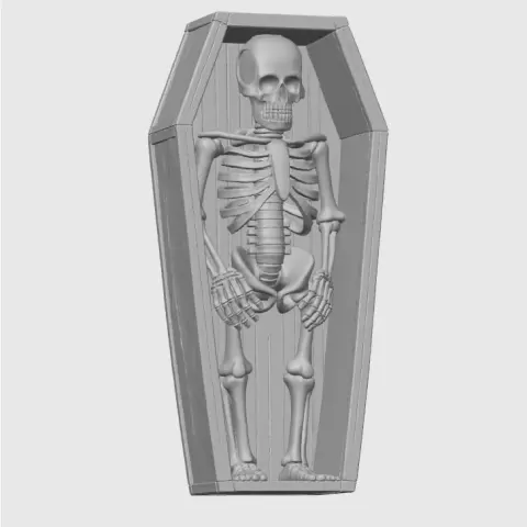 Skeleton in a coffin - The Phill