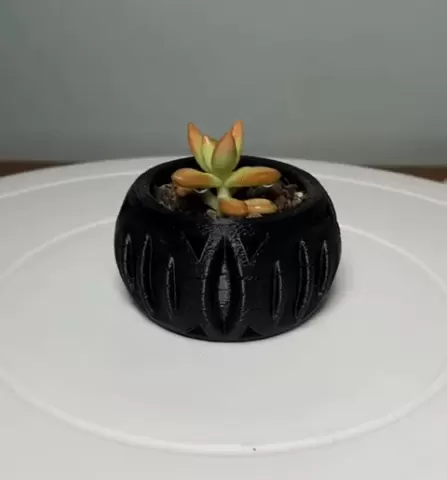 Exoskeleton Succulent Planter