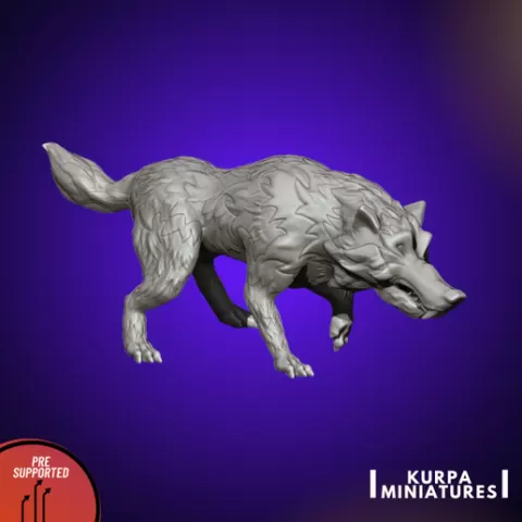 Alpha wolf