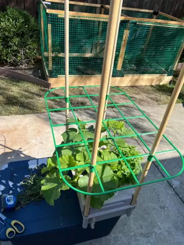 Lattice for hydro grow box.