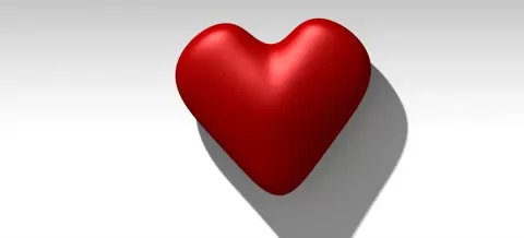 Heart