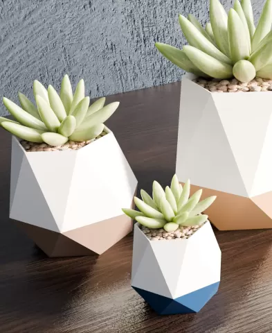 DuoFacet Pots