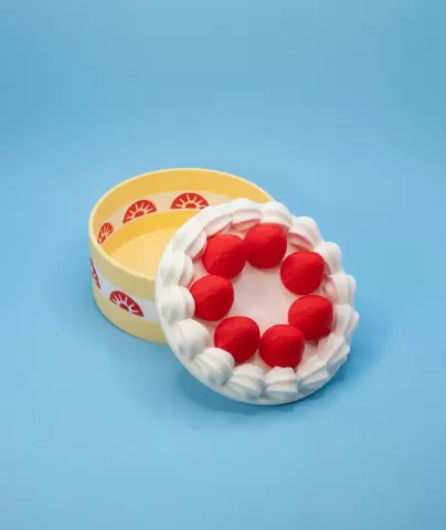 Circle Strawberry Cake Container