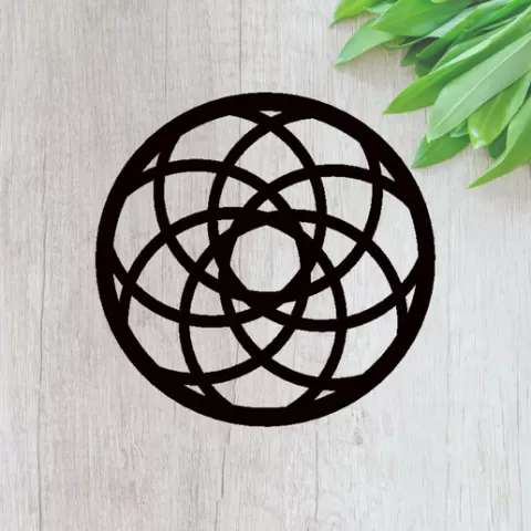Coaster