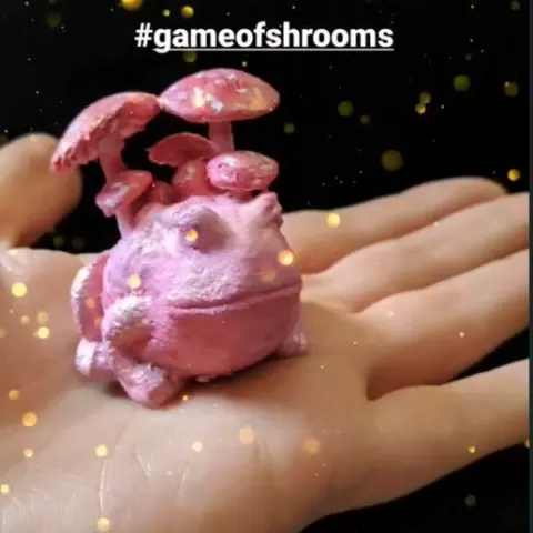 Mushroom Toad