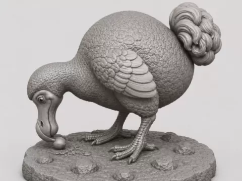 Dodos (Raphus cucullatus)