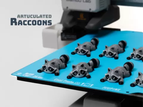 Cute Flexi Raccoon