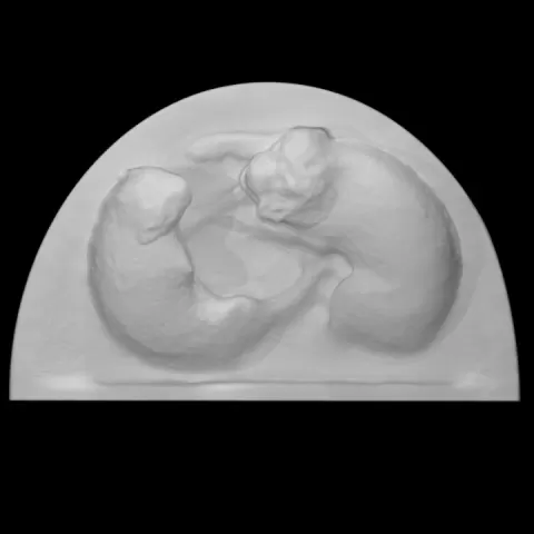 Relief by Scan The World