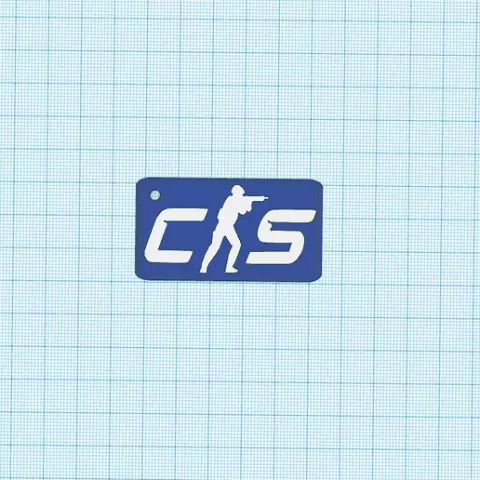 Cs2 Key ring