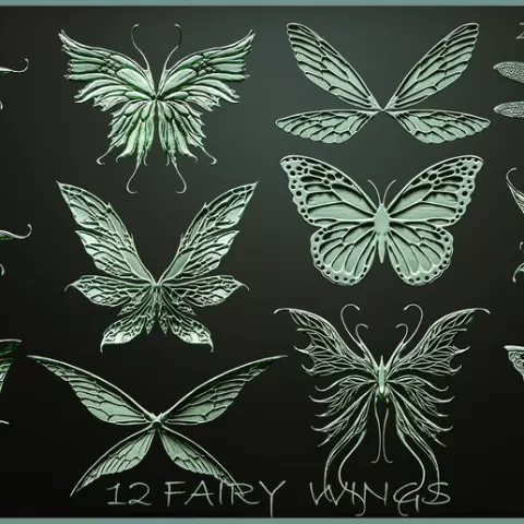 Fairy Wings