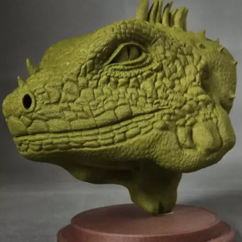 Iguana Head/Bust