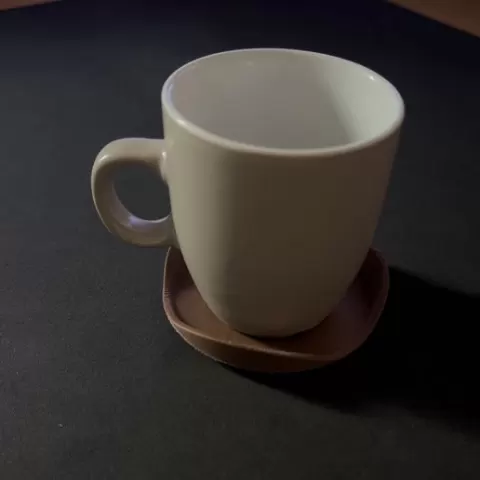 Bark Coaster