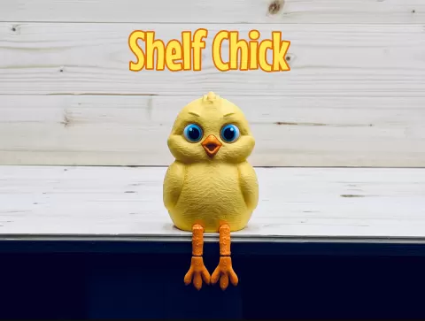 Shelf Chick