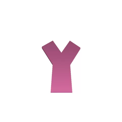 A NEW Y